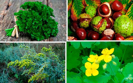 билки за лечение на простатит